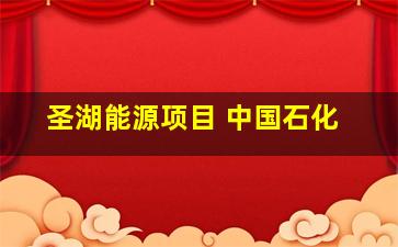 圣湖能源项目 中国石化